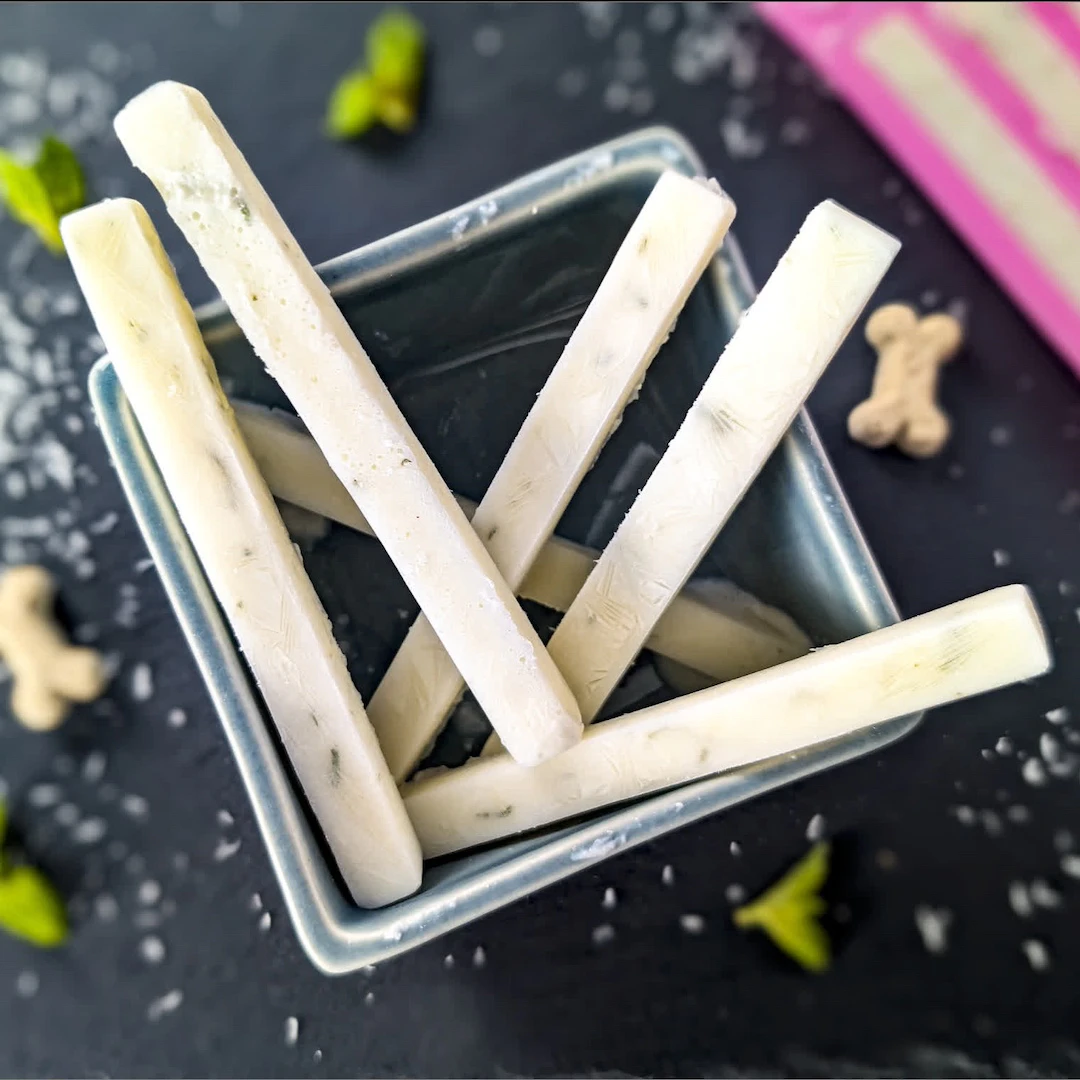 Bâtonnets glacés à l'eau de coco, fromage blanc et menthe pour chien