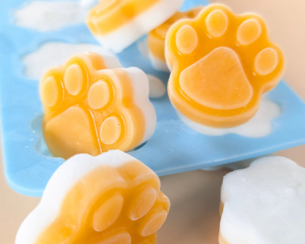 présentation d'une friandise glacée pour chien, faite maison