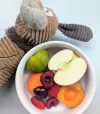 Image d'une gamelle pour chien remplie de fruits de saison, une peluche pour chien à côté.
