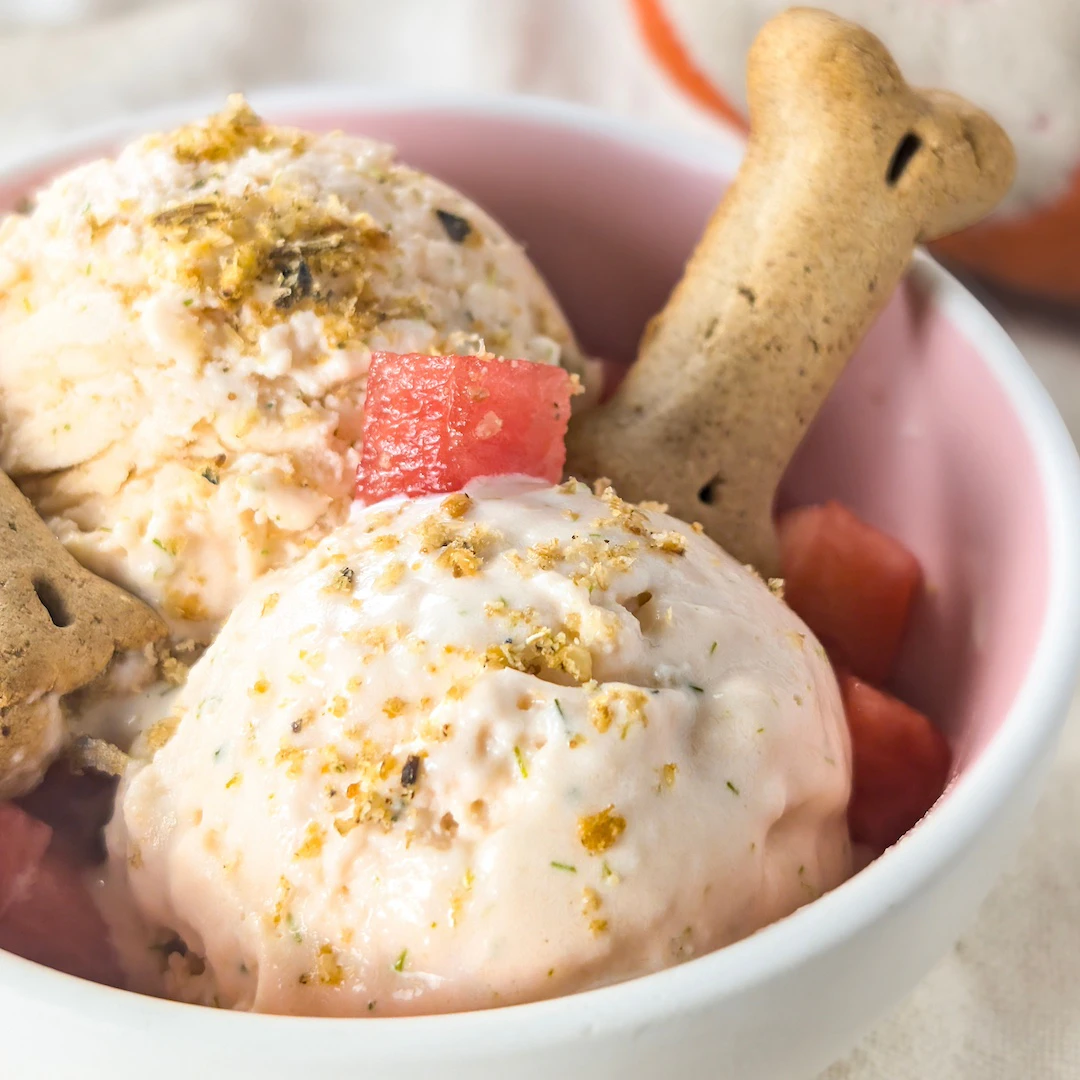 Boules de glace au saumon et aneth pour chien dans un bol, avec des morceaux de pastèque