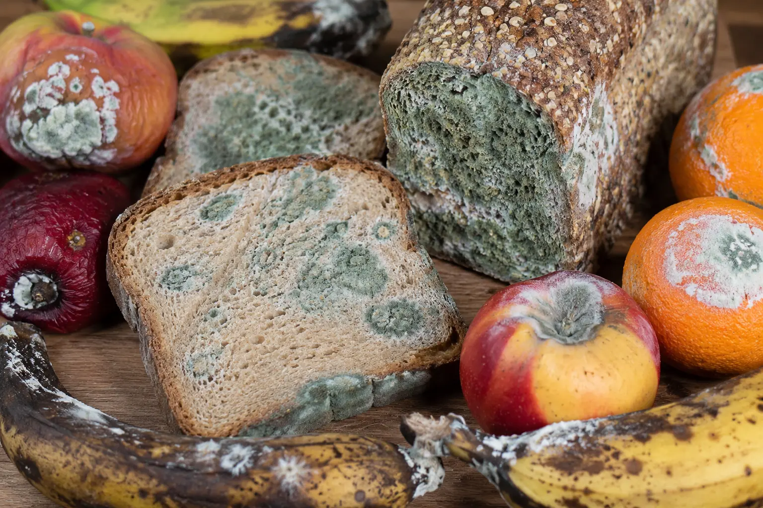 Risques alimentaires pour tous