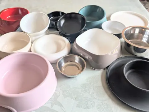 Collection de gamelles pour chiens présentées sur une table 