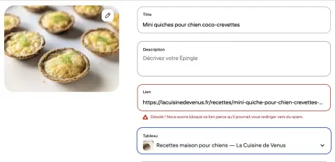 Capture d'écran montrant l'interface pinterest
