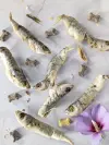 Friandise séché pour chien : le bogue