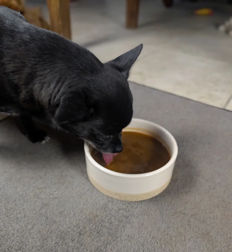 Vanille déguste un peu de bouillon aux crevettes