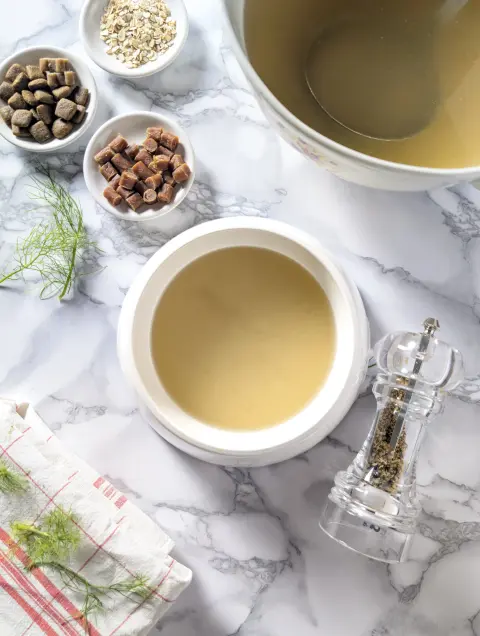 Composition de table présentant un bouillon au poisson pour chien servi dans une gamelle