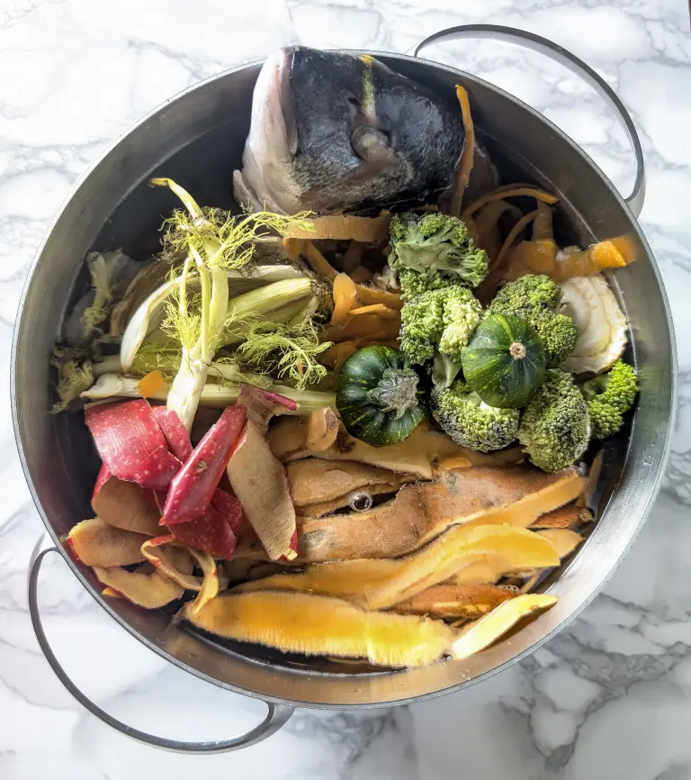 Présentation des ingrédients du bouillon avant cuisson
