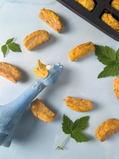Présentation des mini cake à la carotte pour chien