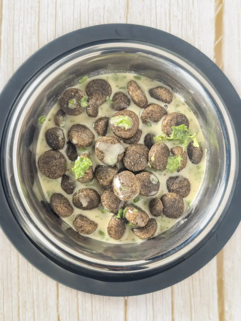 Vu de haut d'une gamelle de croquette contenant la sauce crème anglaise pour chien