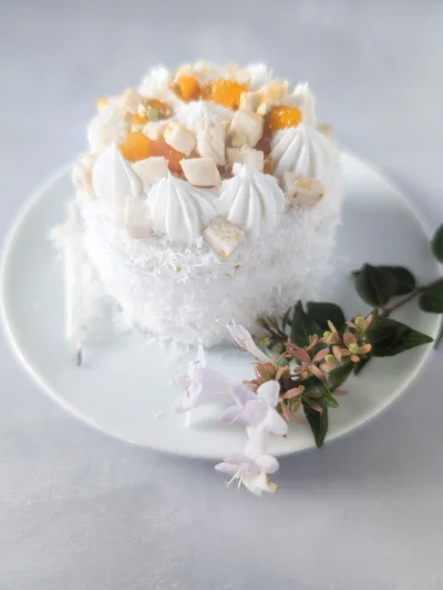 gâteau d'anniversaire pour chien, la forêt blanche au poulet