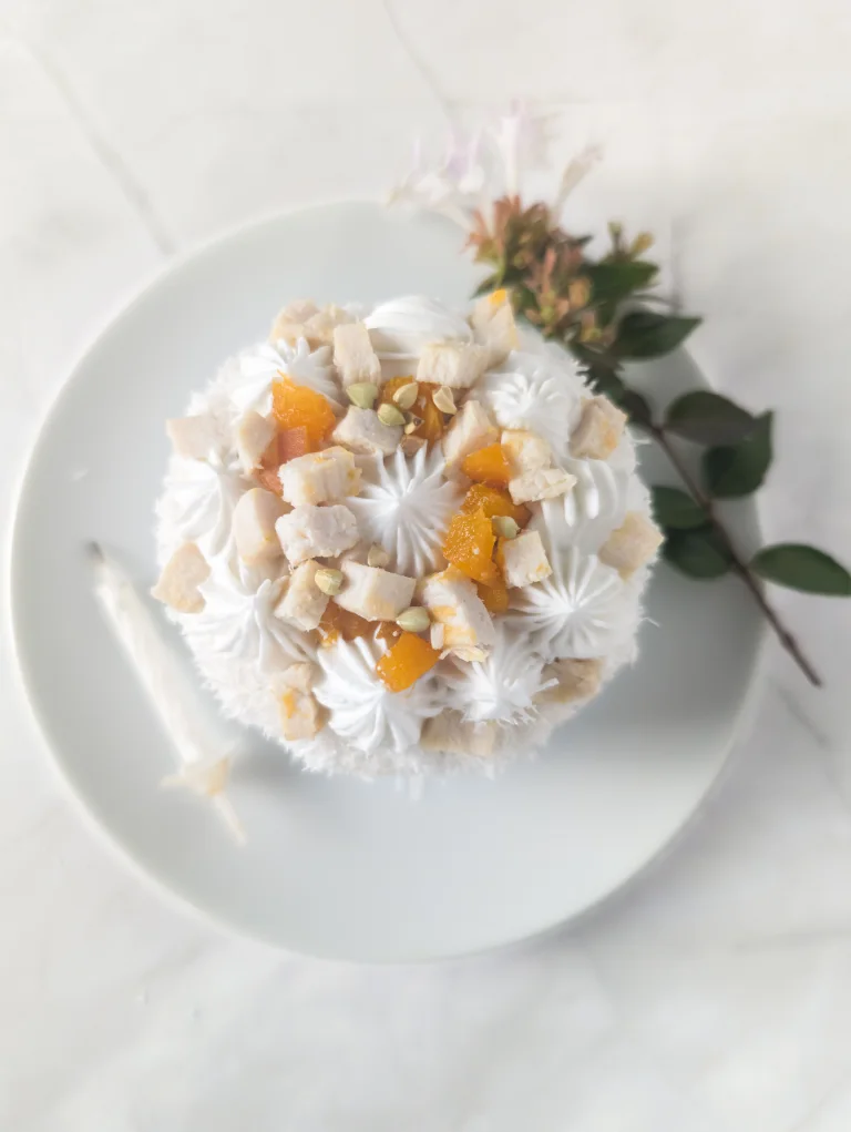 Gâteau d'anniversaire pour chien : la forêt blanche au poulet et abricot, vue de dessus