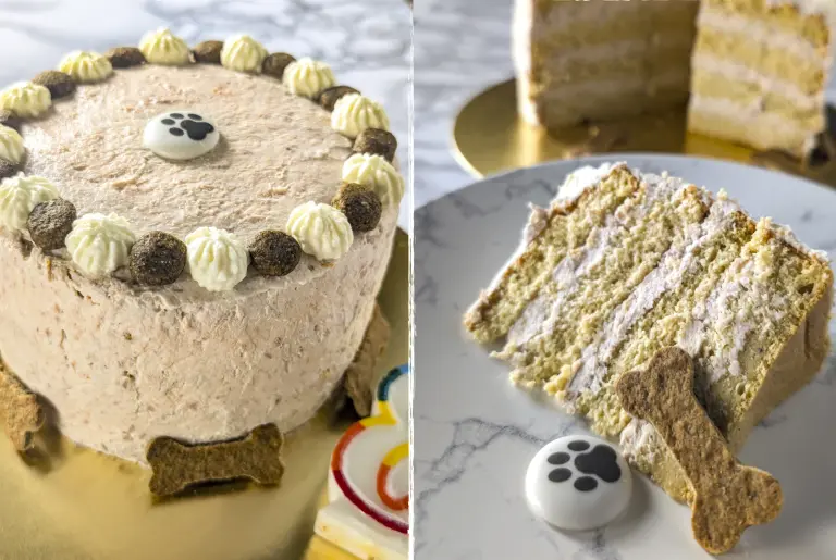 Présentation du gâteau d'anniversaire pour chien au thon et pêche