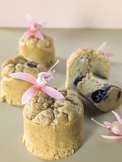 Présentation des gâteaux moelleux au foie pour chien
