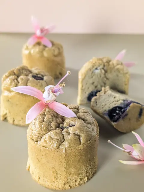 Présentation des gâteaux moelleux au foie pour chien