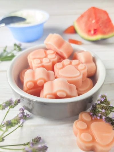 Glaces à la pastèque et brebis pour chien
