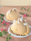 Glace pour chien : Poulet riz carotte