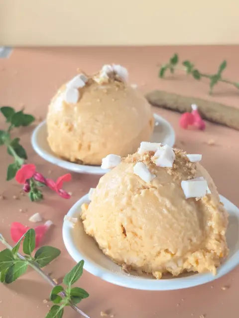 Présentation de la glace poulet, riz et carotte pour le chien