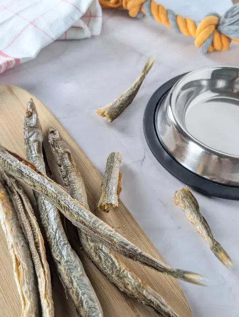 Présentation des poissons lançons séchés pour le chien