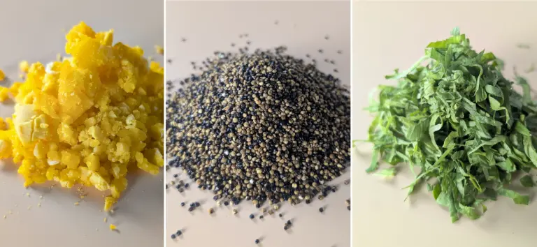 Présentation des ingrédients du mélange d'épices, condiment pour chien