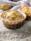Muffin au saumon et sésame sans lactose pour chien