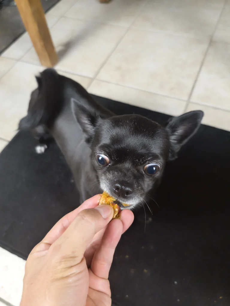 Vanille déguste une pomme de terre grenaille smashée au four