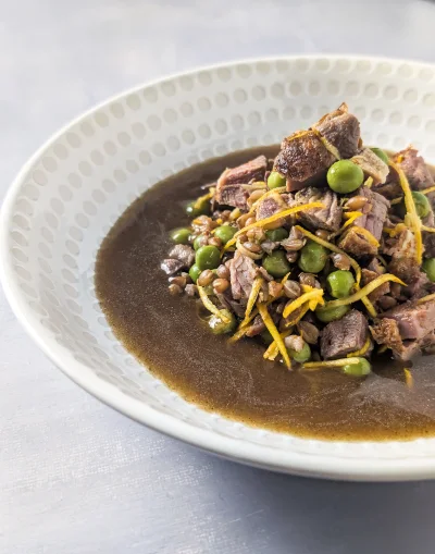 Présentation du plat de ration ménagère au pigeon et aux légumes