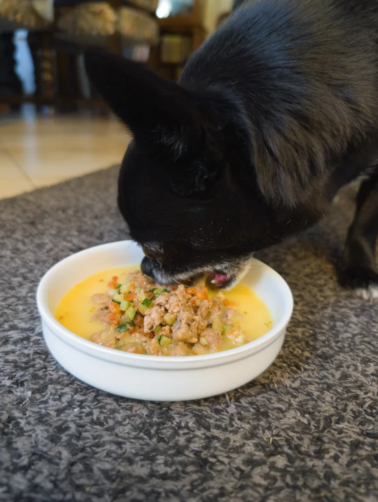 Vanille mange son plat de steak hachée purée
