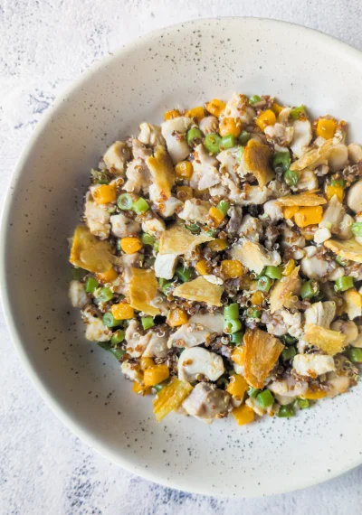 Une ration ménagère pour chien au poulet, légumes et quinoa servi dans une gamelle rose 