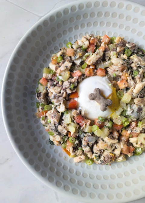 Salade ménagère pour chien : sardines, oeuf poché, tomates, pdt, haricots verts