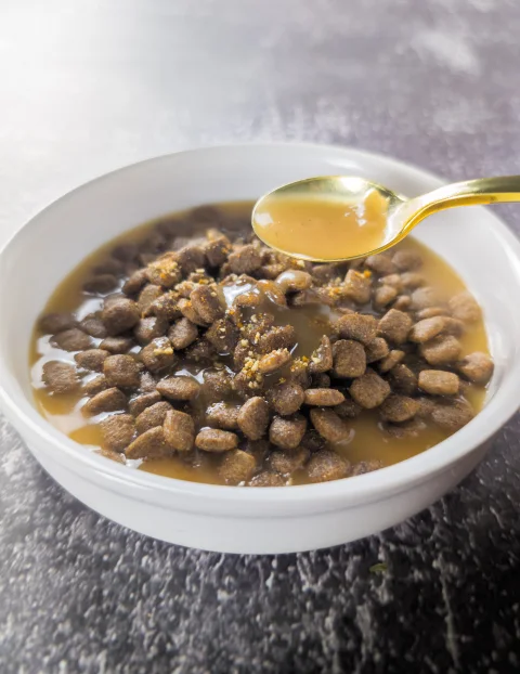 Sauce en topping pour croquettes de chien, une recette facile et zéro coût.