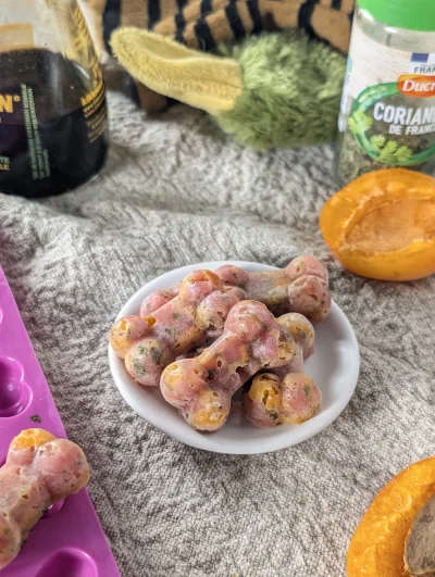 Tartare de canard en friandises glacées format bonbon os de chien