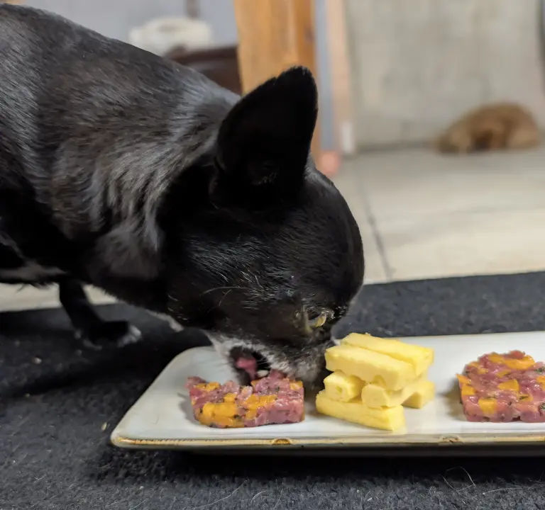 Vanille déguste le tartare de canard à l'abricot pendant que vénus dort