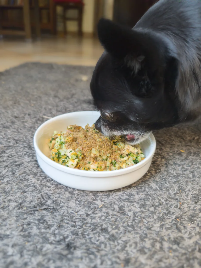 Vanille mange son plat de ration avec le topping au poisson